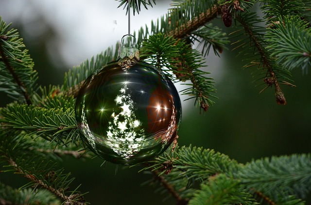 INTENCJE MSZALNE 25.12.2022 – 01.01.2023